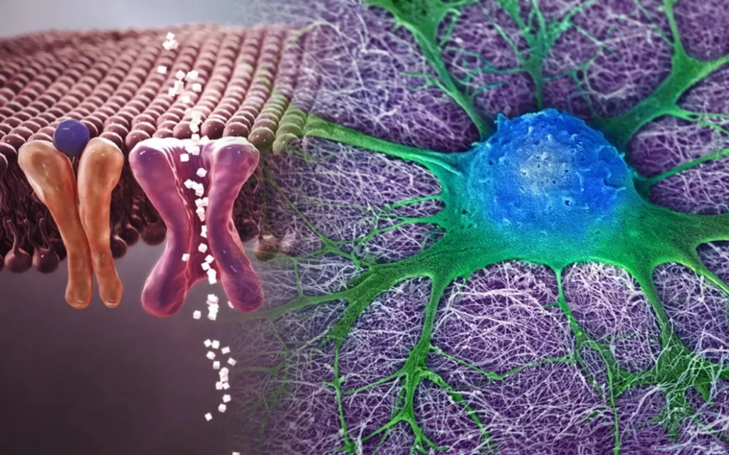 Етапи нового партнерства між Sanofi та Dren Bio