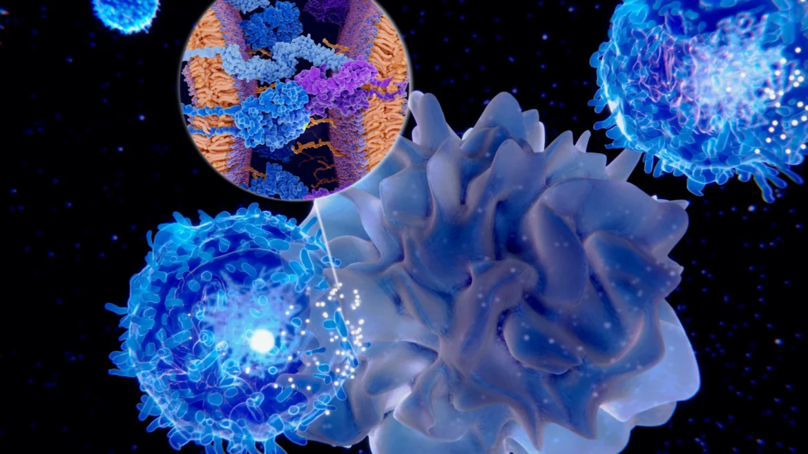 перші дані по CAR-T терапії CER-1236