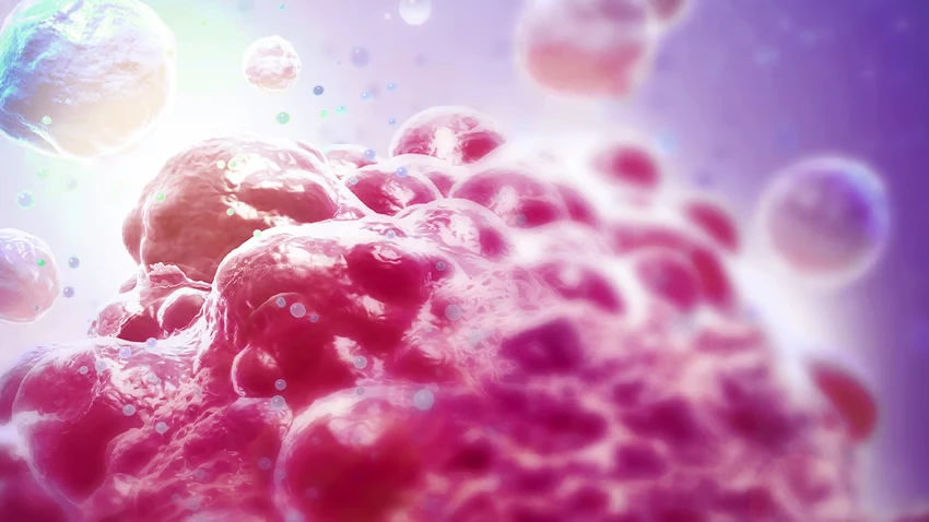 HER2-позитивна форма гастроезофагеального раку