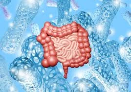 лікування кишкової інфекції Clostridioides difficile